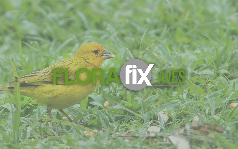 florafix aves