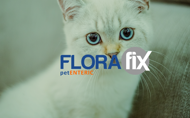 florafix pet enteric