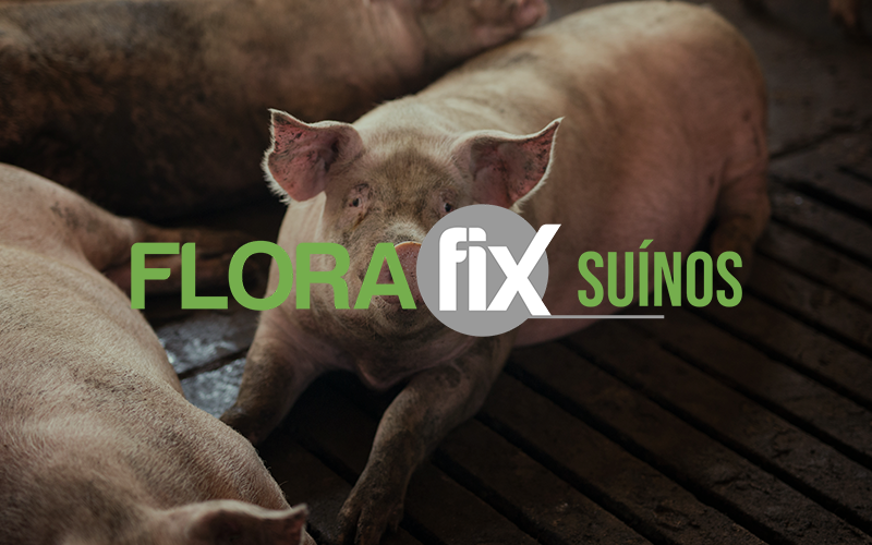 florafix suinos